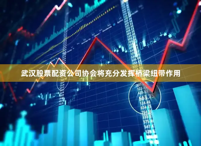 武汉股票配资公司协会将充分发挥桥梁纽带作用